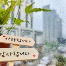 엘제이비 이미지