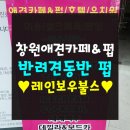 사림동253 | 창원 애견카페&amp;펍 레인보우불스 : 반려견 동반 펍