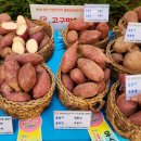 찬진농장 이미지