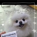 버틀랩