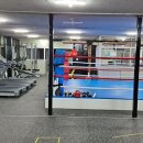 아세아 복싱 다이어트 클럽 이미지