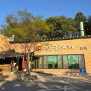 숯불오리 | 춘천맛집 툇골오리숯불구이 삼색오리 후기