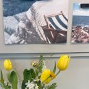 HIMOVE(하이무브) 이미지