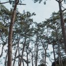 군강공원 이미지