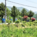 감자마을 이미지