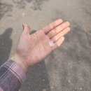 청년다방양산웅상점 | [4월] 봄, 내가 사랑하는 계절