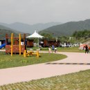 금호강 오토캠핑장 이미지