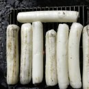 밀양스쿨오토캠핑장 이미지