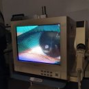 이노티안경전주중앙점 네이버블로그