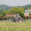 두발로 더코리아