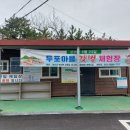 [대한민국 구석구석] 부안 두포마을갯벌체험장 그리고 상록해수욕장 해루질