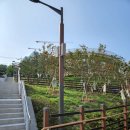 희망대공원 물놀이장-1 이미지