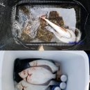 도다리민박 이미지