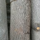 고능말로 이미지