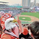 419 | 수원KT위즈파크 3루 스카이존 419구역 7열 직관후기 류현진 승