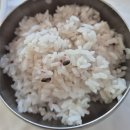 포항가자미물회식당
