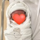 억마니 | 아산 삼성미즈병원 39주4일차에 제왕절개 5박6일 기록 (1일~3일차) 페인부스터 안맞은 후기