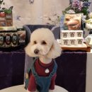 엠케이그루밍샵 이미지