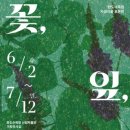완도수목원산림박물관 웹이코노미