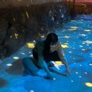 스테이인숲 이미지