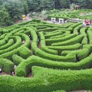 제주아이 이미지