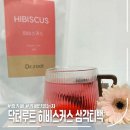 뉴트리홈 | 카페인없는차로 즐기는 홈카페 뉴트리셀라 히비스커스차 후기