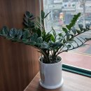 전통한의원 이미지