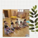 산새들어린이집 이미지