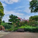 신풍근린공원 이미지