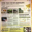 빛과솔