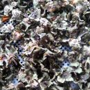 효원농장 이미지