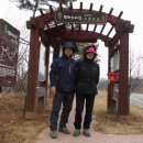 고랑포길 이미지