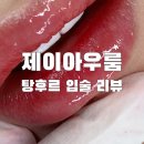 제이아우룸 | 입술반영구 역삼역 반영구 (제이아우룸) 만족후기 /역삼역입술 제이아우룸