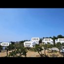 평화로 R | [서귀포 풀빌라_제주서채 내돈내산 후기] 제주도 풀빌라 펜션,아이랑
