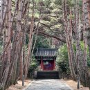 이순신의 바다 이미지