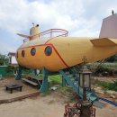 Camp 1950 티스토리