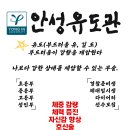 안성유도관