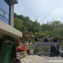 (주)수목 | 시흥 물왕저수지 산골수목원 카페 수목 후기