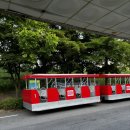 &lt;2024 서울랜드 월드 디제이 페스티벌 후기&gt; 월디페 2024 체인스모커 직관 후기
