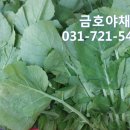 대광청과 이미지