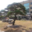 형주병원 Daum카페