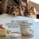 하이 베를리너 김포점