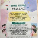🍱 따뜻한 한 끼가 만든 변화, 콩세알 프로젝트 4주차 후기