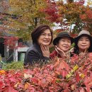 호계3동행정복지센터 이미지