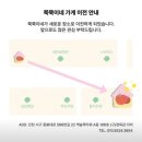 쭉쭉이네과일