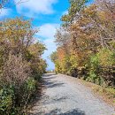 노고단-16 이미지