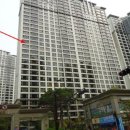 보리수약국 이미지