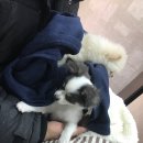 보노보노동물병원