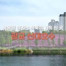 신대호수 이미지