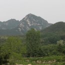 엄*춘 Daum카페